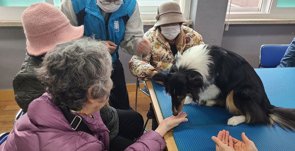 송파구 송파2동은 취약계층 어르신들의 건강관리를 위한 ‘어르신 건강드림 교실’을 운영했다. 사진은 반려동물 교감치료 프로그램 모습.